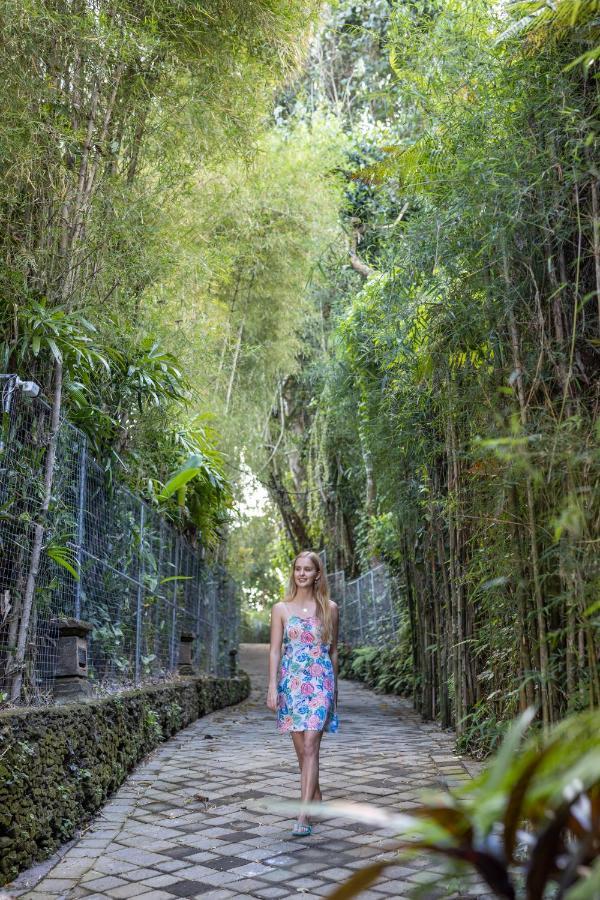 The Allure Ubud Villas Kültér fotó